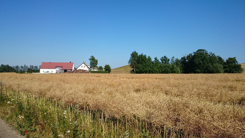 Vinkille Löderup