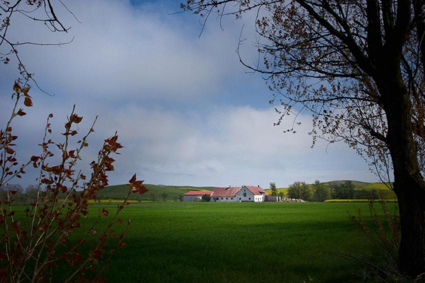 Vinkille Bed & Breakfast Löderup